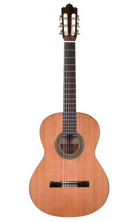 Prodipe Guitars Recital 300 4/4 - gitara klasyczna 