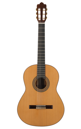 Prodipe Guitars Soloist 700 4/4 - gitara klasyczna 